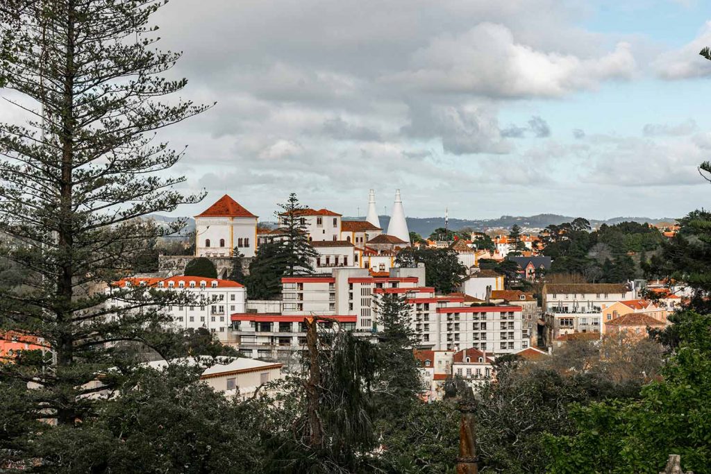 alex-WKWCU0oPS8g-unsplash opt